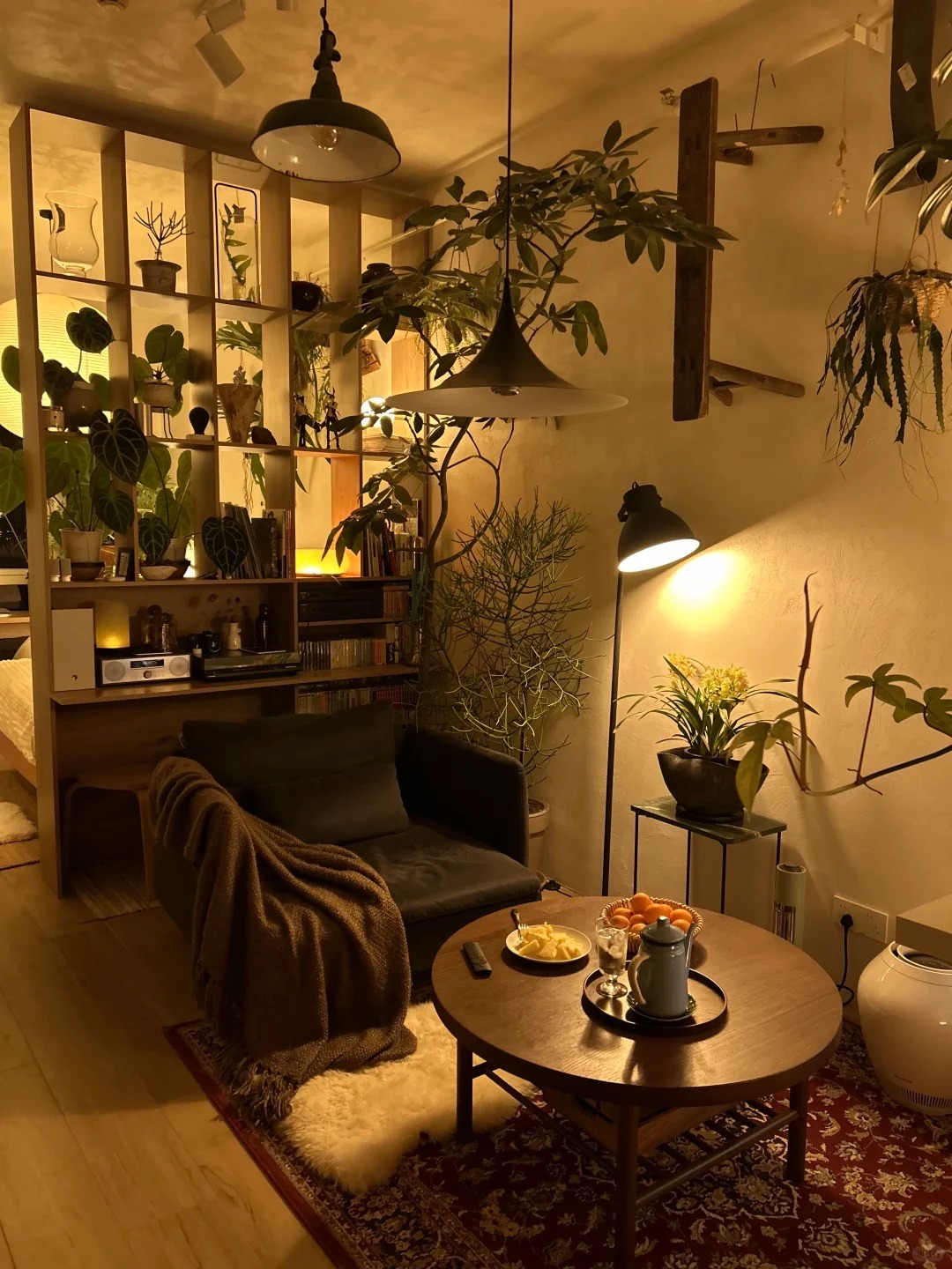 Căn hộ 35m&sup2; ngập tr&agrave;n c&acirc;y xanh của ch&agrave;ng trai độc th&acirc;n - Ảnh 4.
