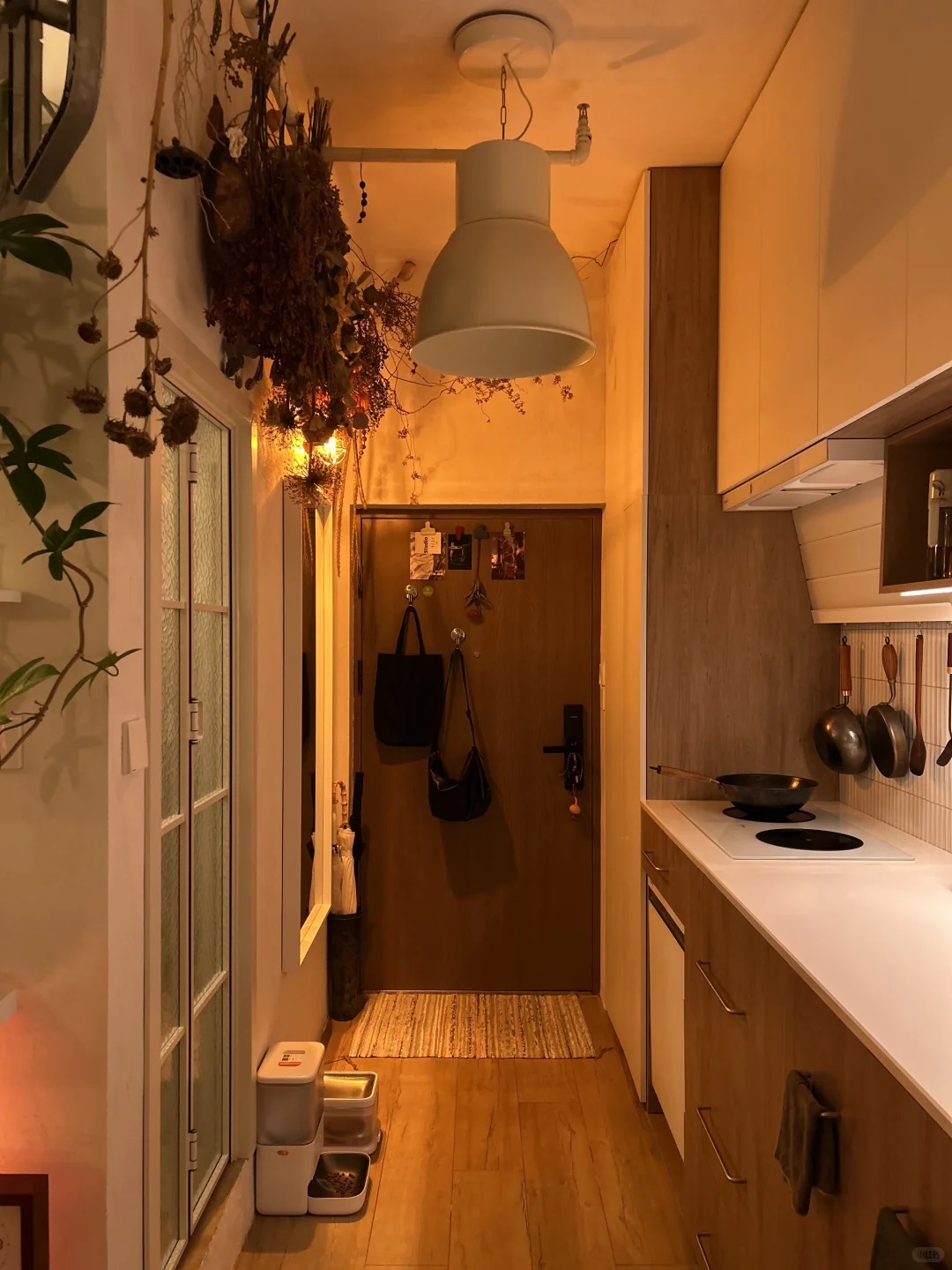 Căn hộ 35m&sup2; ngập tr&agrave;n c&acirc;y xanh của ch&agrave;ng trai độc th&acirc;n - Ảnh 3.