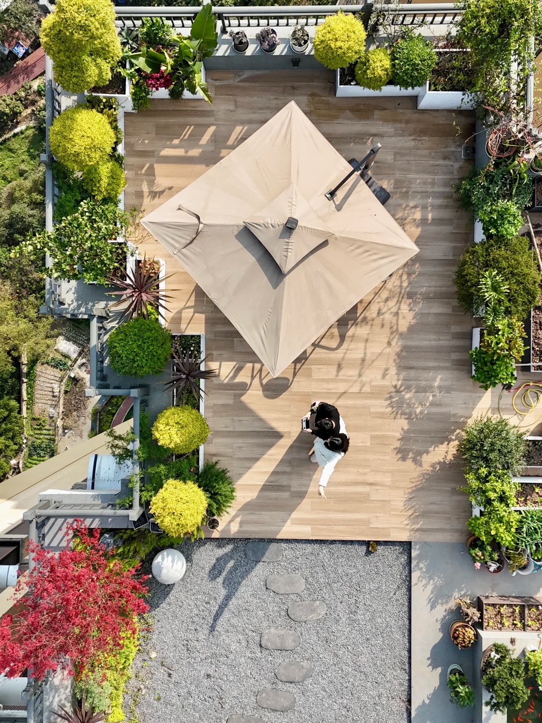 Biến s&acirc;n thượng tầng 32 của penthouse th&agrave;nh vườn rau, ao c&aacute;: Lại 1 t&aacute;c phẩm kinh điển của "Ph&aacute;p sư Trung Hoa"- Ảnh 2.