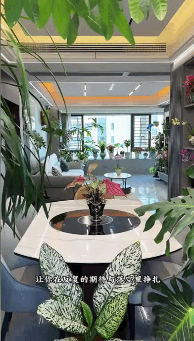 Dụi mắt 1 tỷ lần trước "căn hộ tr&ecirc;n kh&ocirc;ng" của ph&aacute;p sư Trung Hoa: Trồng hơn 200 chậu c&acirc;y đẹp qu&ecirc;n cả mặt đất- Ảnh 4.