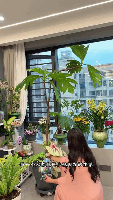 Dụi mắt 1 tỷ lần trước "căn hộ tr&ecirc;n kh&ocirc;ng" của ph&aacute;p sư Trung Hoa: Trồng hơn 200 chậu c&acirc;y đẹp qu&ecirc;n cả mặt đất- Ảnh 7.