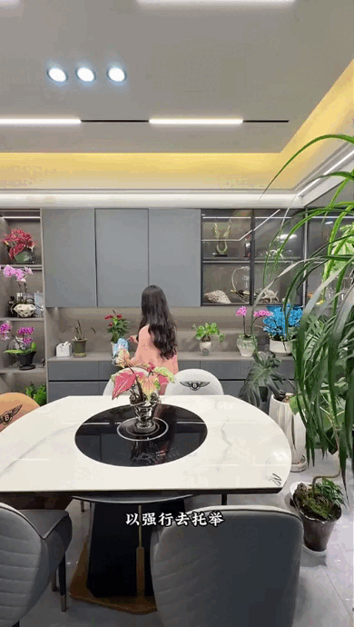 Dụi mắt 1 tỷ lần trước "căn hộ tr&ecirc;n kh&ocirc;ng" của ph&aacute;p sư Trung Hoa: Trồng hơn 200 chậu c&acirc;y đẹp qu&ecirc;n cả mặt đất- Ảnh 5.