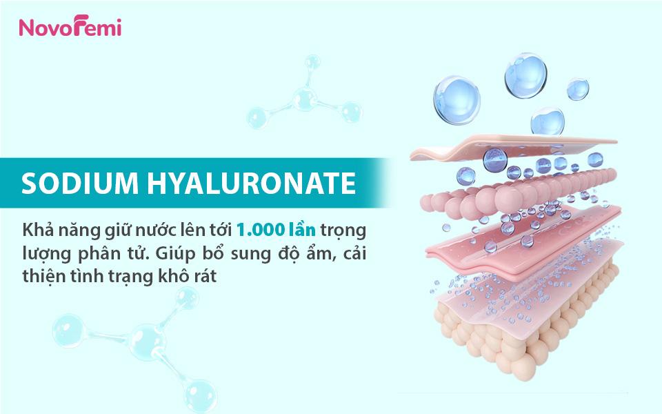 Điều g&igrave; tạo n&ecirc;n hiệu quả của vi&ecirc;n đặt cấp ẩm trực tiếp Novofemi Xanh khiến chị em tin chọn? - Ảnh 2.
