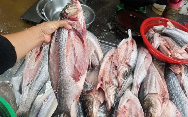 C&oacute; n&ecirc;n mua c&aacute; đ&atilde; mổ sẵn kh&ocirc;ng?- Ảnh 1.