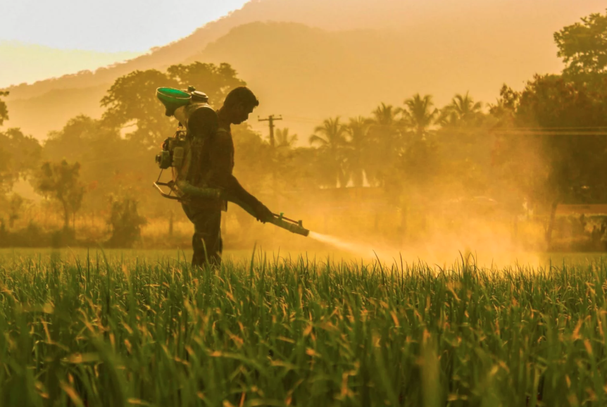 N&ocirc;ng d&acirc;n Nhật Bản tạo ph&aacute;t minh kh&ocirc;ng tưởng, "dậy s&oacute;ng" nền n&ocirc;ng nghiệp: B&iacute; mật nằm trong tấm lưới m&agrave;u đỏ - Ảnh 3.