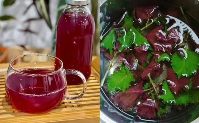 Nước l&aacute; t&iacute;a t&ocirc; c&oacute; nhiều lợi &iacute;ch cho sức khỏe, nhưng 4 nh&oacute;m người kh&ocirc;ng n&ecirc;n uống h&agrave;ng ng&agrave;y - Ảnh 1.