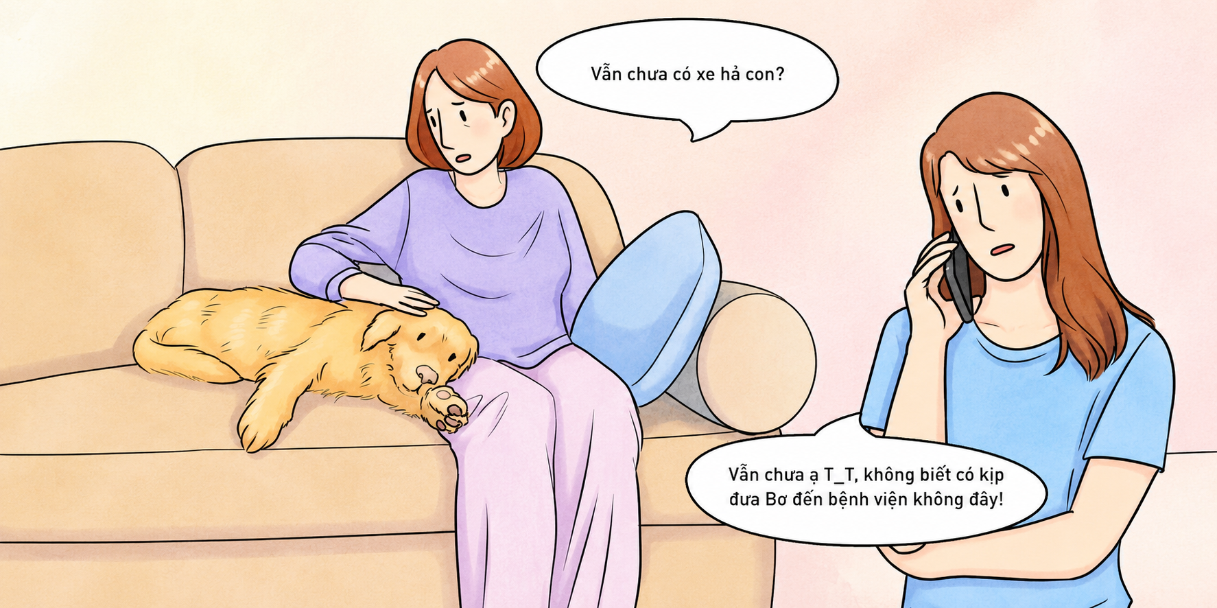 Tìm thấy chân ái cho những chuyến đi cùng thành viên bốn chân của gia đình - Ảnh 2.