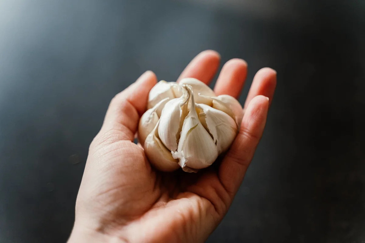 V&igrave; sao nhiều người xịt nước tỏi l&ecirc;n vườn c&acirc;y m&ugrave;a h&egrave;? Mẹo đơn giản nhưng cực hữu hiệu - Ảnh 1.