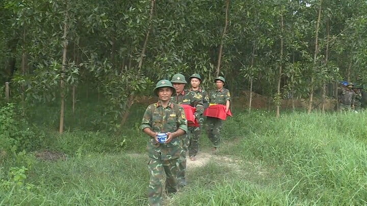 Ph&aacute;t hiện th&ecirc;m 10 h&agrave;i cốt liệt sĩ c&ugrave;ng nhiều di vật ở Quảng Trị- Ảnh 2.