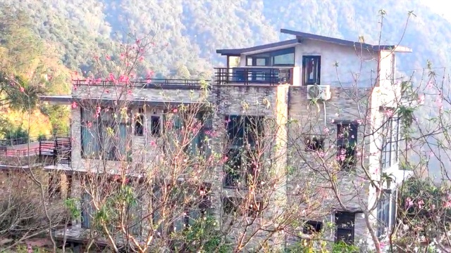 Căn nh&agrave; ở qu&ecirc; của Ho&agrave;ng Thuỳ Linh- Ảnh 2.