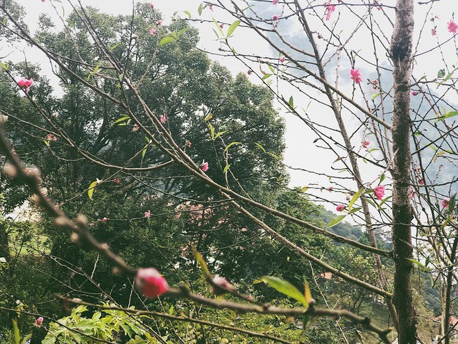 Căn nh&agrave; ở qu&ecirc; của Ho&agrave;ng Thuỳ Linh- Ảnh 3.