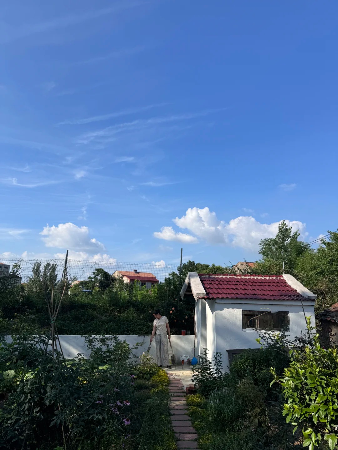 C&aacute;ch "Ph&aacute;p sư Trung Hoa" h&ocirc; biến thứ 38 triệu th&agrave;nh nh&agrave; s&acirc;n vườn ở qu&ecirc; ai nh&igrave;n cũng muốn sở hữu - Ảnh 14.
