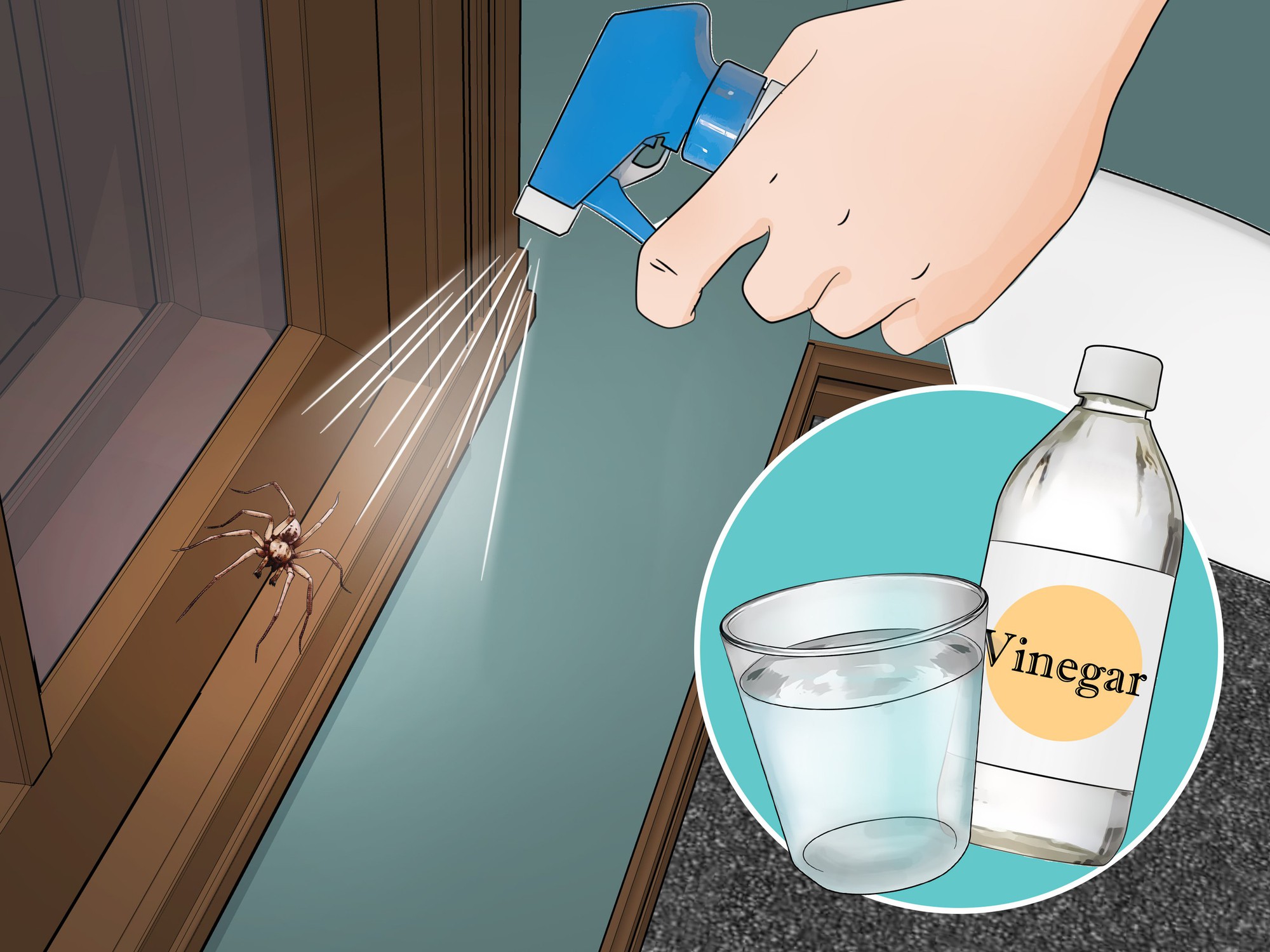 V&igrave; sao nhiều người xịt giấm quanh cửa nh&agrave; mỗi tuần? C&ocirc;ng dụng kh&ocirc;ng chỉ để l&agrave;m sạch- Ảnh 2.