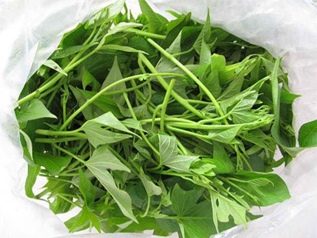 Loại rau rẻ b&egrave;o đầy chợ Việt: Ăn thường xuy&ecirc;n mới thấy gi&aacute; trị thật với sức khỏe - Ảnh 1.