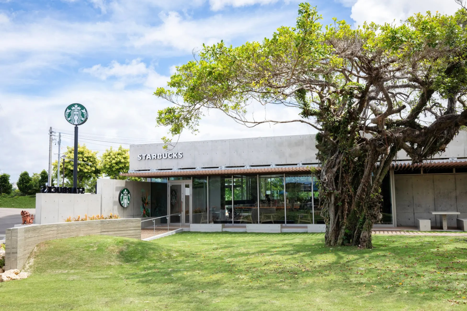 Starbucks ph&aacute;t chiếu cho kh&aacute;ch ngồi: Chi&ecirc;u giữ ch&acirc;n kh&aacute;ch hay để đỡ "tốn ghế"?- Ảnh 1.