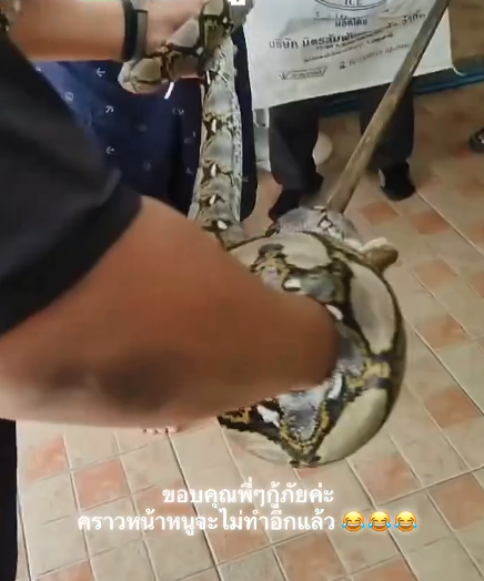 Đi nhậu về, người đ&agrave;n &ocirc;ng v&ocirc; tư bế thứ d&agrave;i 4 m&eacute;t v&agrave;o nh&agrave;: Tỉnh dậy hoảng hốt &ldquo;T&ocirc;i l&agrave;m thật sao?&rdquo;- Ảnh 3.