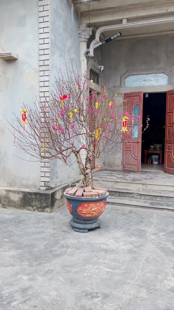 Căn nh&agrave; ở qu&ecirc; của b&agrave; tr&ugrave;m đế chế "Ăn C&ugrave;ng B&agrave; Tuyết"- Ảnh 6.