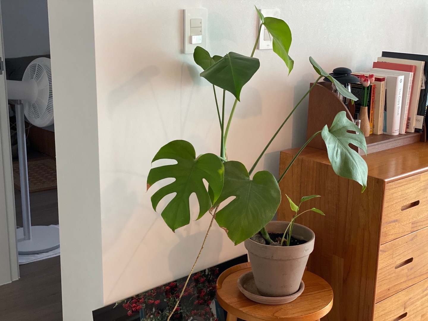 Ở tuổi 36, c&ocirc; g&aacute;i chọn sống như một &ldquo;b&agrave; cụ thanh thản&rdquo;: C&ocirc;ng việc đ&atilde; qu&aacute; mệt, nh&agrave; cửa nhất định phải thật đơn giản- Ảnh 5.
