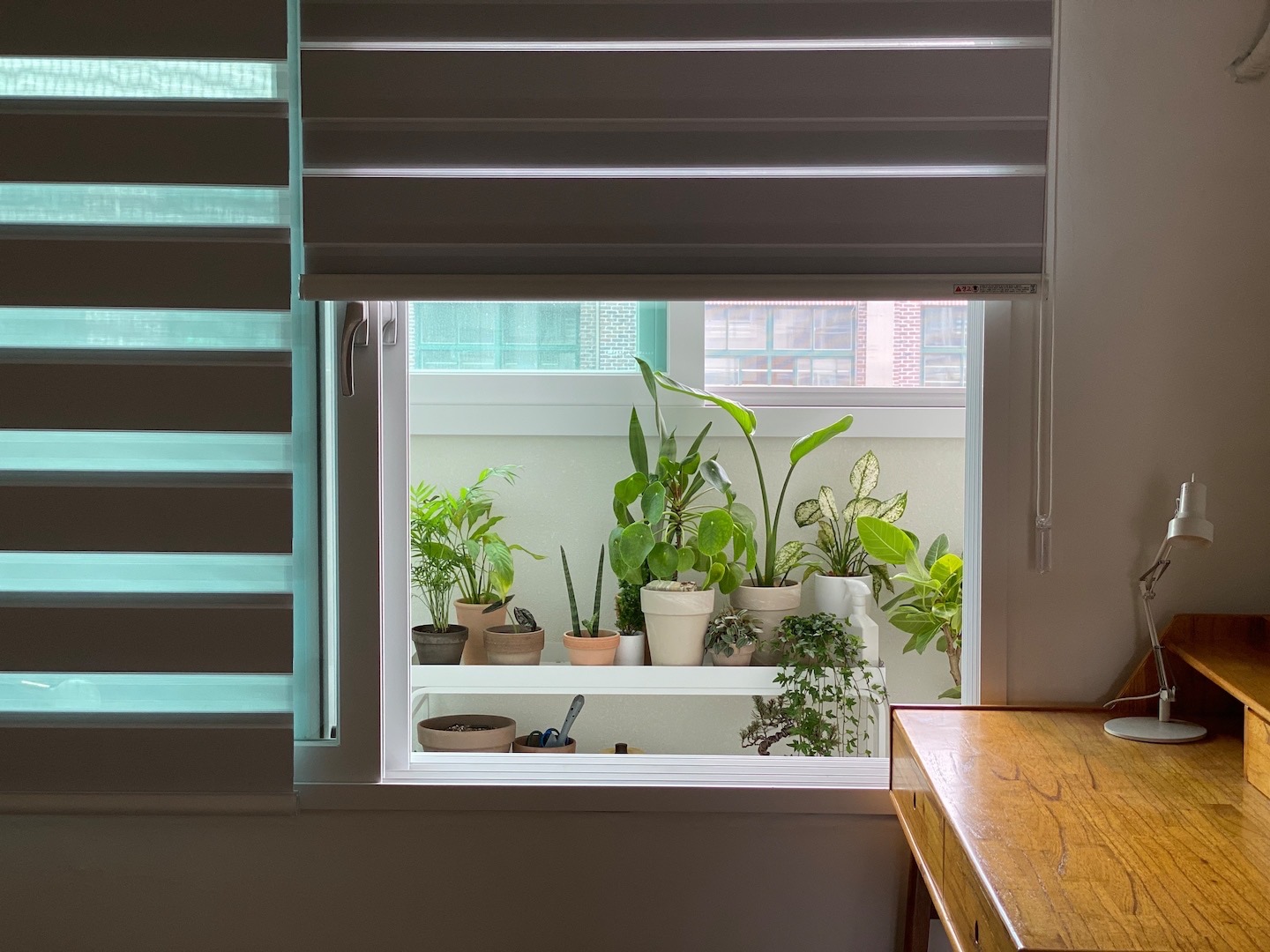 Ở tuổi 36, c&ocirc; g&aacute;i chọn sống như một &ldquo;b&agrave; cụ thanh thản&rdquo;: C&ocirc;ng việc đ&atilde; qu&aacute; mệt, nh&agrave; cửa nhất định phải thật đơn giản- Ảnh 20.