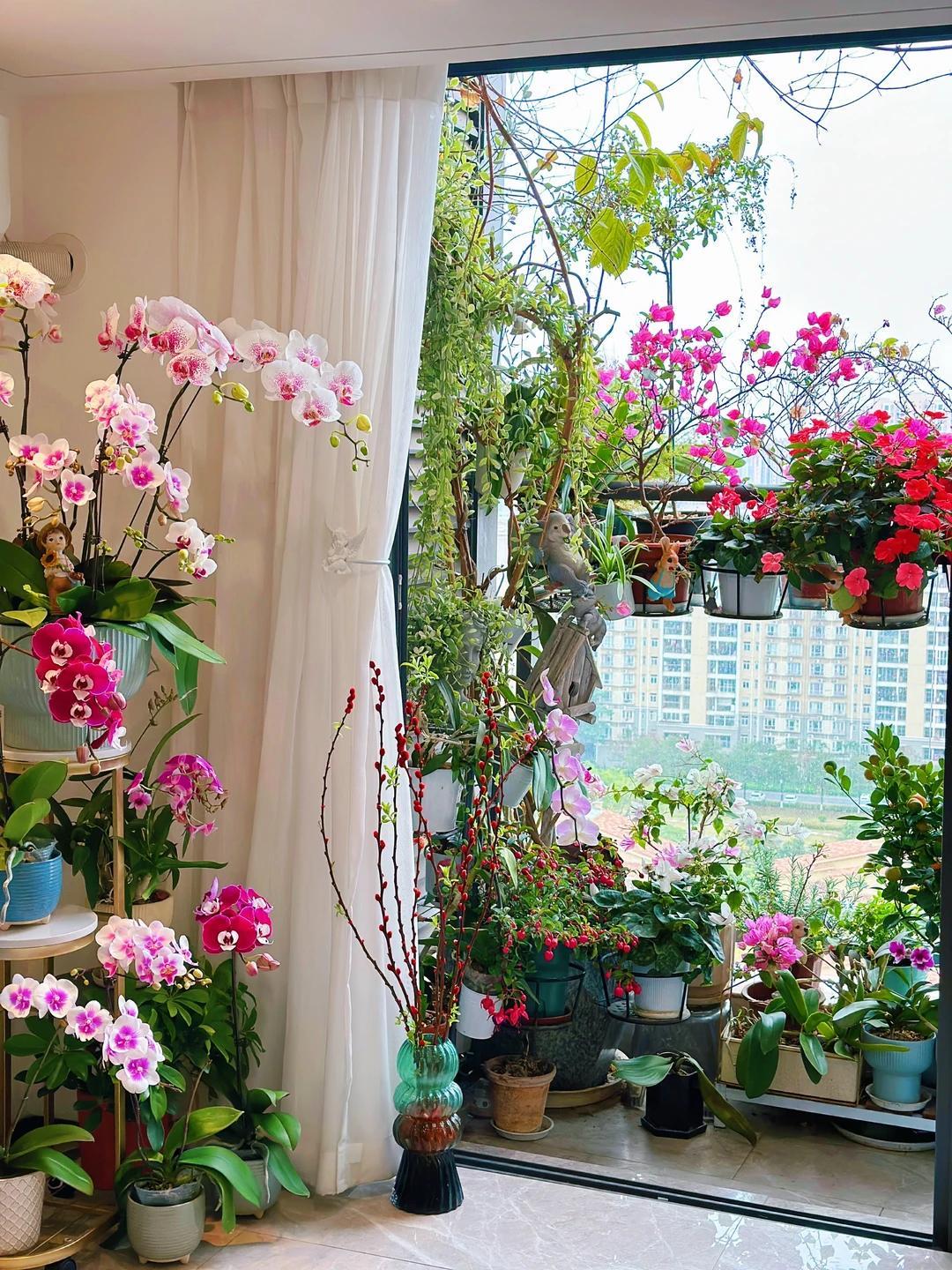 Vợ ch&ecirc; c&acirc;y chồng trồng vừa trơ vừa xấu, d&acirc;n mạng nh&igrave;n ảnh lại n&oacute;i: Đ&acirc;y l&agrave; người chơi c&acirc;y c&oacute; đẳng cấp- Ảnh 5.