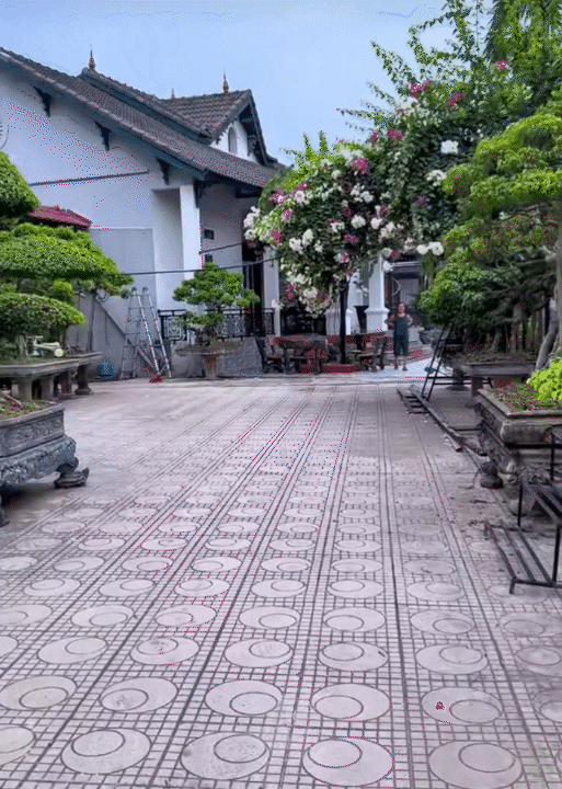4 thế hệ, hơn 20 người sống chung tr&ecirc;n mảnh đất 3.000m2 ở H&agrave; Nội: Người phụ nữ "cầm c&acirc;n nảy mực" khiến cả 4 n&agrave;ng d&acirc;u nể phục- Ảnh 2.