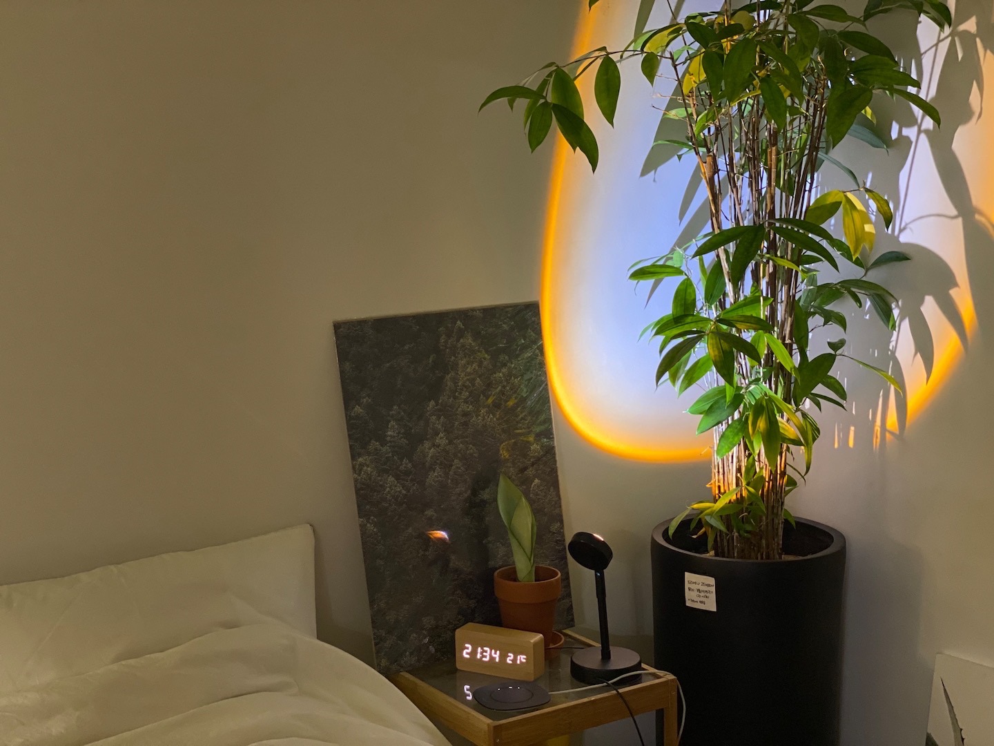 Ở tuổi 36, c&ocirc; g&aacute;i chọn sống như một &ldquo;b&agrave; cụ thanh thản&rdquo;: C&ocirc;ng việc đ&atilde; qu&aacute; mệt, nh&agrave; cửa nhất định phải thật đơn giản- Ảnh 17.