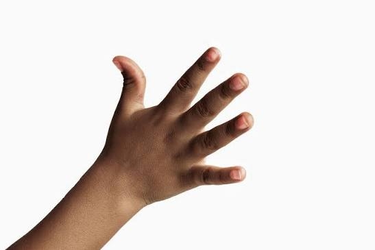 Tại sao con người lại c&oacute; những ng&oacute;n tay d&agrave;i ngắn kh&aacute;c nhau?- Ảnh 1.