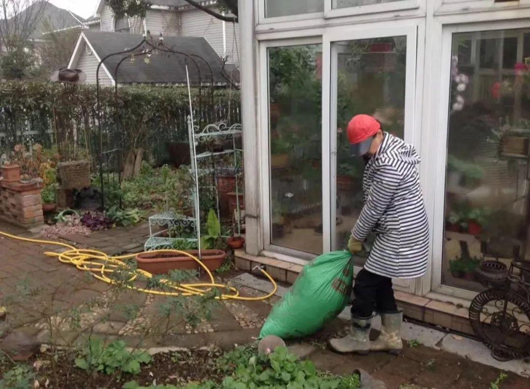 Suốt 20 năm, nữ gi&aacute;o vi&ecirc;n dồn phần lớn tiền tiết kiệm v&agrave; thời gian rảnh để l&agrave;m vườn: Th&agrave;nh quả khiến ai nh&igrave;n cũng ao ước- Ảnh 11.