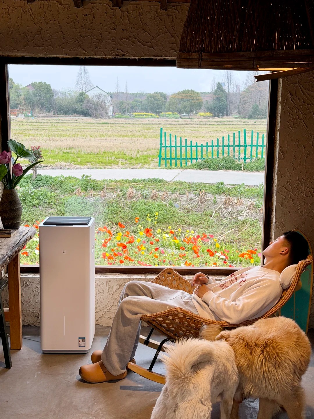 Thu&ecirc; nh&agrave; cũ 5 triệu, chi 500 triệu để sửa lại: Ch&agrave;ng trai ngủ dậy l&agrave; thấy điều "đắt gi&aacute;"- Ảnh 18.