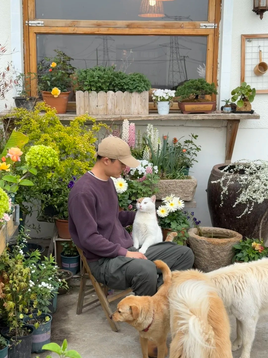 Thu&ecirc; nh&agrave; cũ 5 triệu, chi 500 triệu để sửa lại: Ch&agrave;ng trai ngủ dậy l&agrave; thấy điều "đắt gi&aacute;"- Ảnh 23.