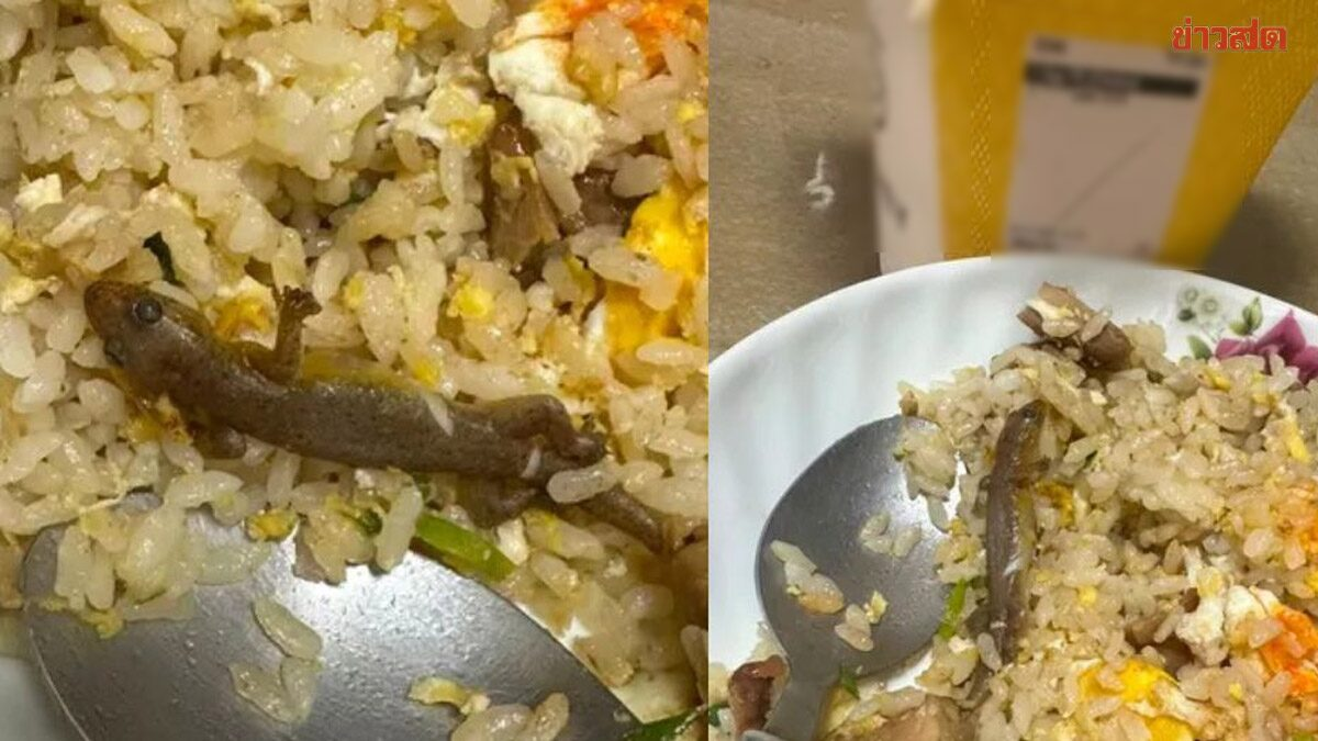 Đang ăn cơm rang, c&ocirc; g&aacute;i sốc thấy thứ "đ&aacute;ng sợ" trong đĩa - Ảnh 1.