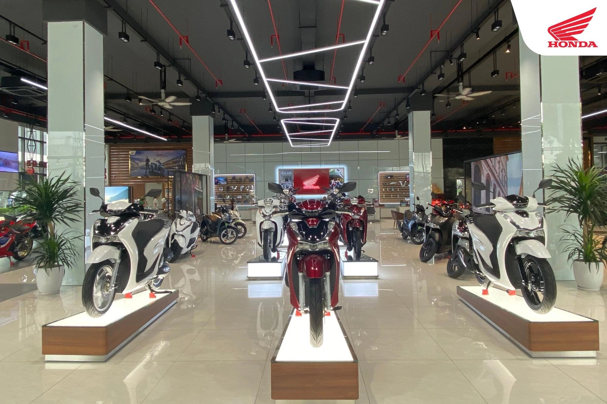 Honda Việt Nam tăng giá bán 17 mẫu xe máy: Từ Wave Alpha đến SH 350i, nguyên nhân đã được dự đoán trước- Ảnh 1.