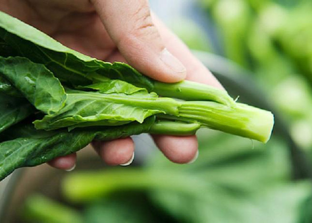 Mỹ đ&aacute;nh gi&aacute; "rau tốt nhất thế giới", h&oacute;a ra lại l&agrave; loại rau quen thuộc ở Việt Nam - Ảnh 2.