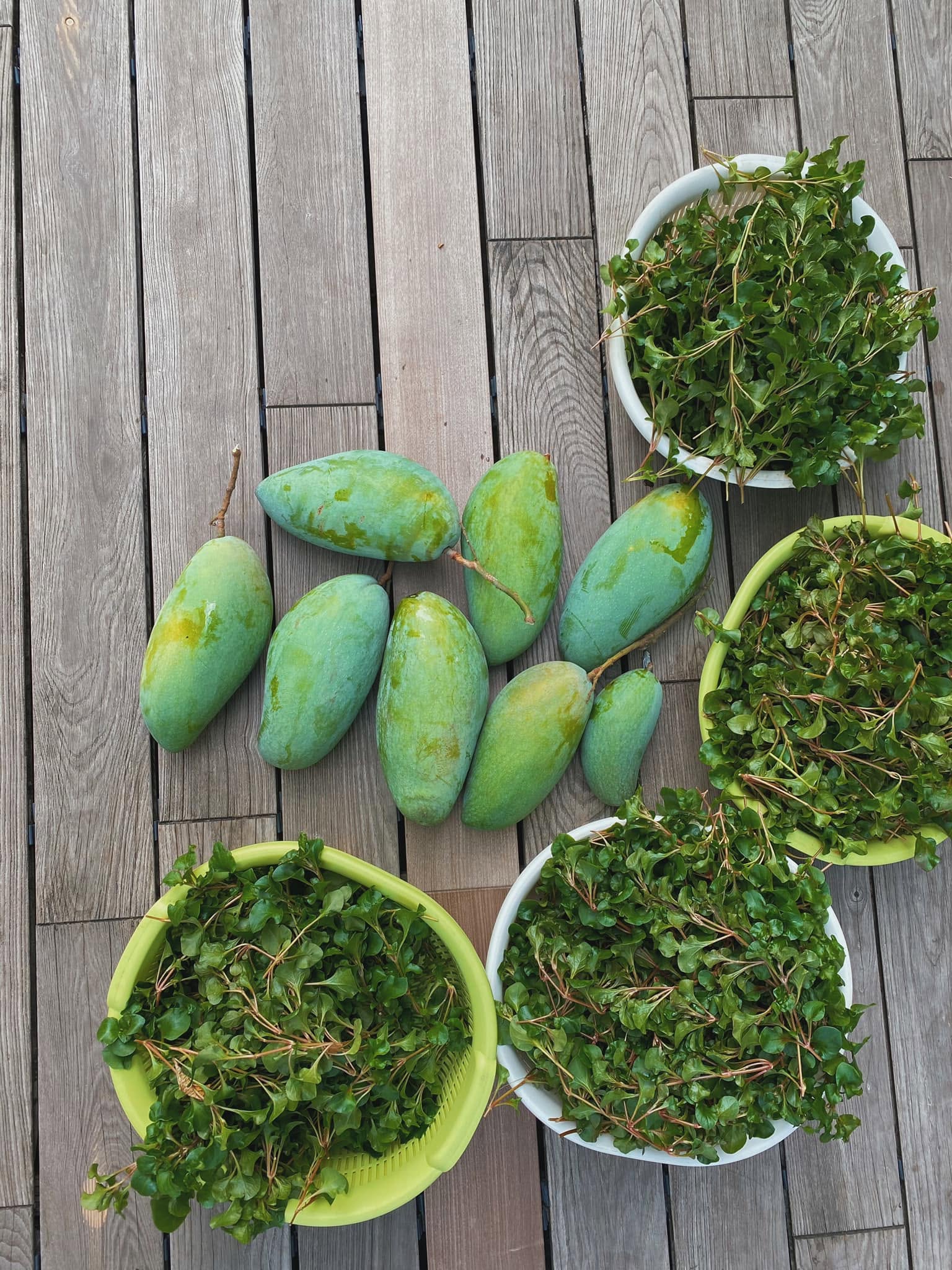 T&igrave;nh y&ecirc;u của Tăng Thanh H&agrave;- Ảnh 7.