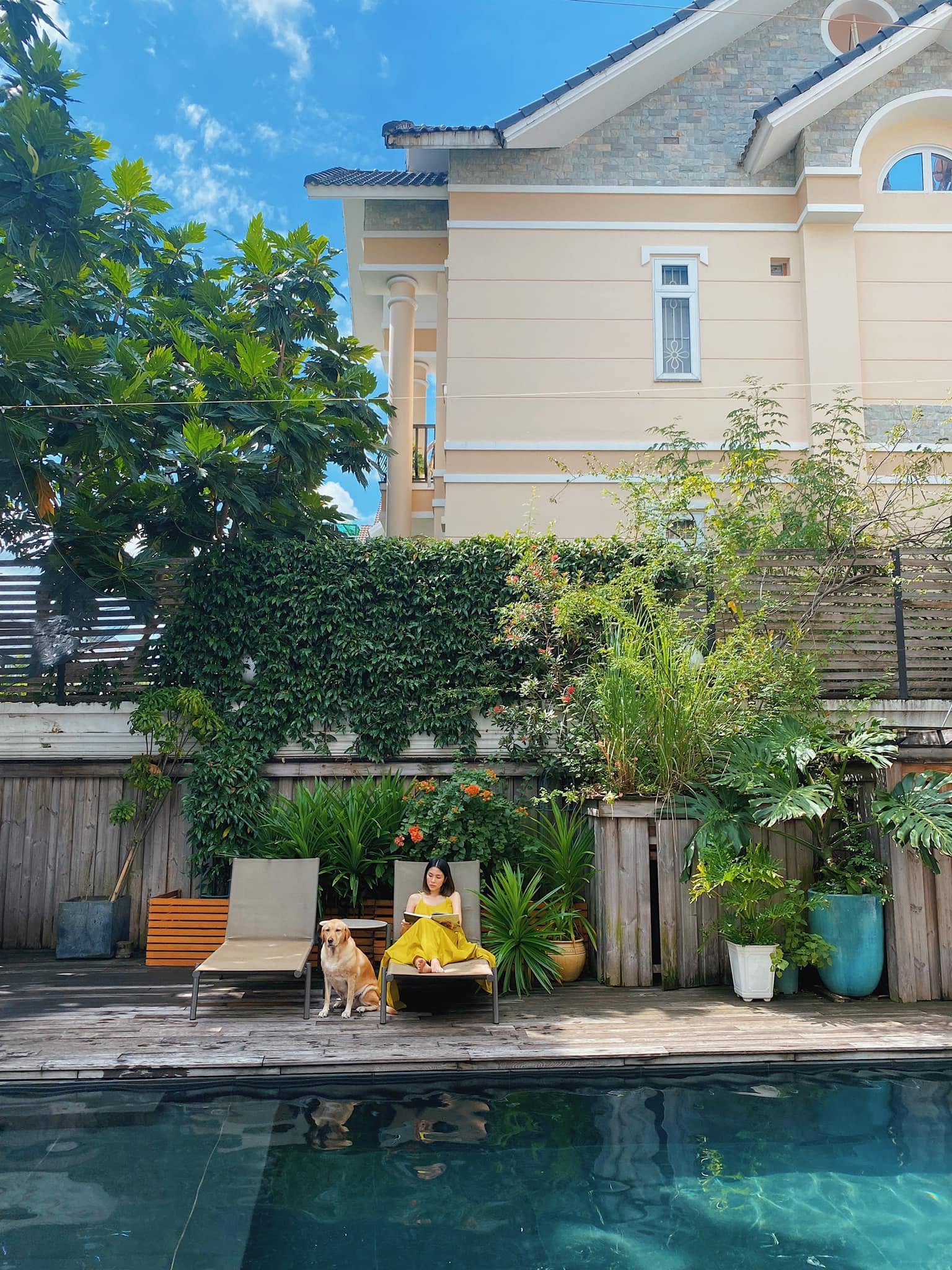 T&igrave;nh y&ecirc;u của Tăng Thanh H&agrave;- Ảnh 12.