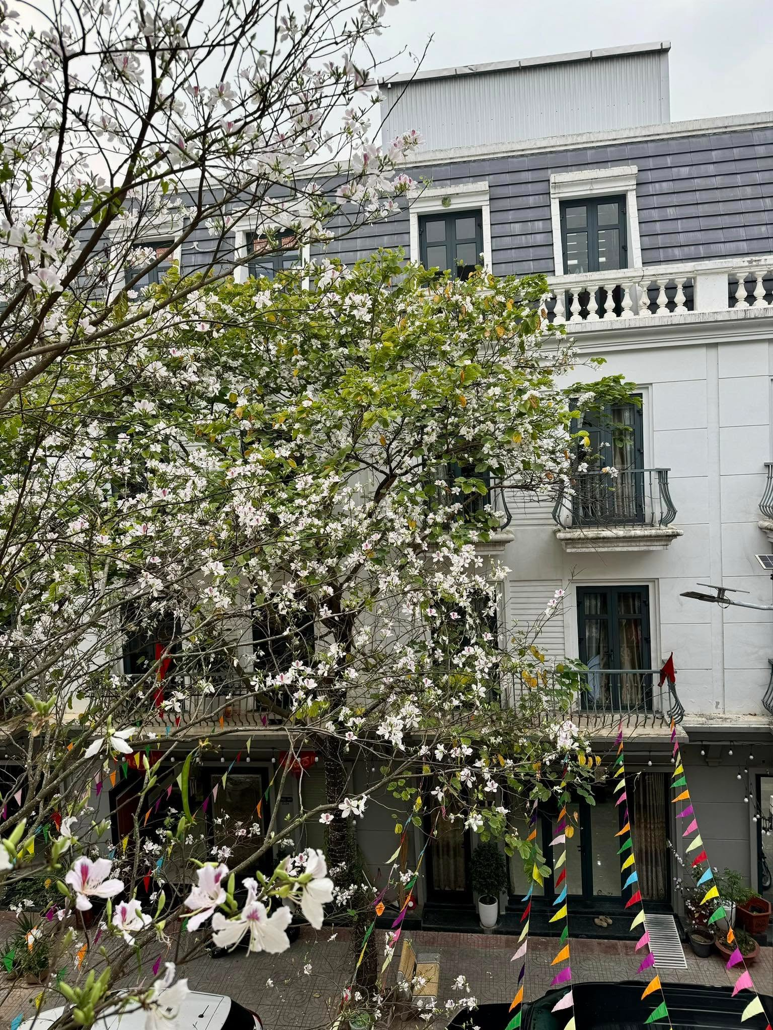 Căn nh&agrave; ở qu&ecirc; của mẹ vợ Cường Đ&ocirc; La - Ảnh 3.