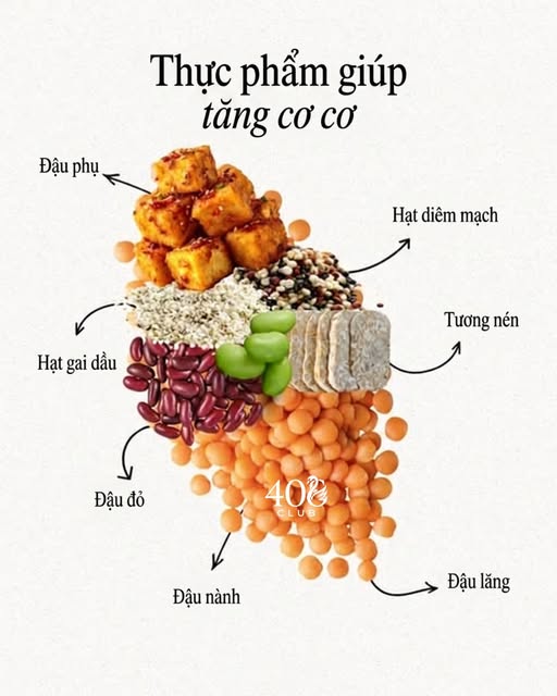 Ăn đ&uacute;ng sau tuổi 40: Một chiếc đĩa đủ m&agrave;u sắc c&oacute; thể mang lại nhiều lợi &iacute;ch hơn bạn nghĩ- Ảnh 2.