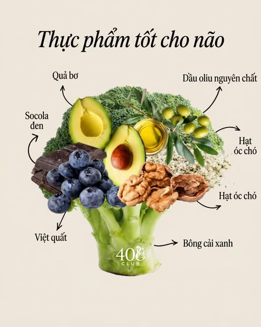 Ăn đ&uacute;ng sau tuổi 40: Một chiếc đĩa đủ m&agrave;u sắc c&oacute; thể mang lại nhiều lợi &iacute;ch hơn bạn nghĩ- Ảnh 1.