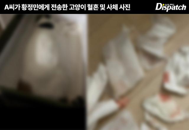 Dispatch điều tra tin Ảnh đế Hwang Jung Min ngoại t&igrave;nh: 3 lần gặp trong 2 năm, 5 tiếng 30 ph&uacute;t, kh&ocirc;ng hề c&oacute; tiếp x&uacute;c th&acirc;n mật- Ảnh 5.