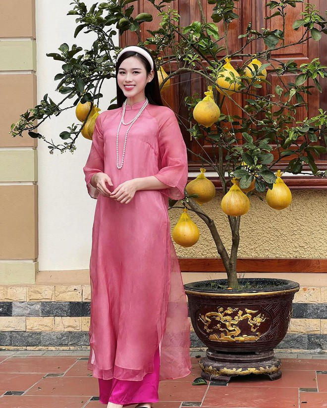 Căn nh&agrave; ở qu&ecirc; của vợ TGĐ Tập đo&agrave;n Sơn Hải- Ảnh 13.
