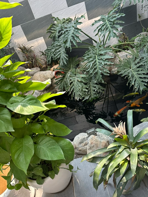 Căn nh&agrave; ở qu&ecirc; của Xu&acirc;n Son- Ảnh 3.