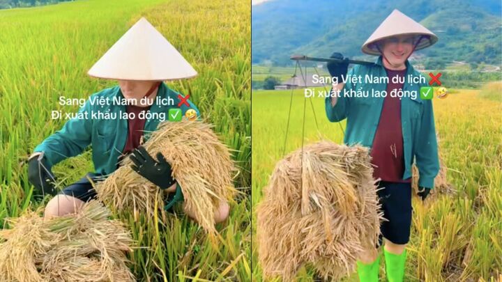 Biểu cảm của ch&uacute; tr&acirc;u ở Hội An khi nh&oacute;m trẻ con T&acirc;y chạm v&agrave;o sừng h&uacute;t 1 triệu người - Ảnh 3.