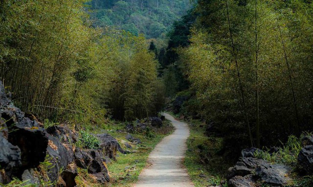 "Làng địa ngục" bước ra từ màn ảnh: Nằm trên độ cao 1.500m ở vùng núi phía Bắc, dân làng từng sống trong "3 không" - Ảnh 9.