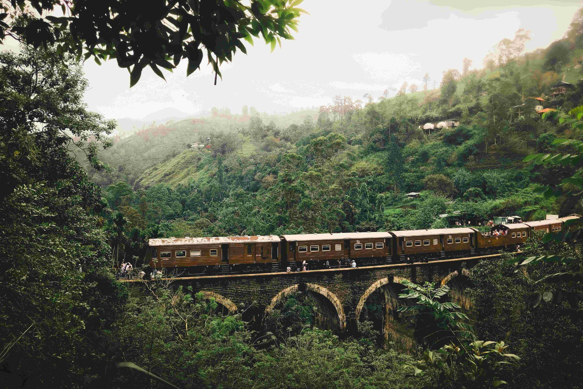 Vì sao tháng 8 là thời điểm lý tưởng để trải nghiệm Sri Lanka? - Ảnh 3.