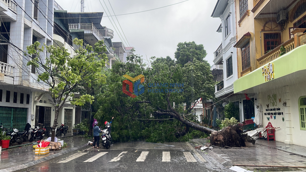 Cập nhật Bão số 1: Quảng Ninh nhiều nơi đã mất điện, gió rít liên hồi, yêu cầu người dân không ra đường- Ảnh 3.