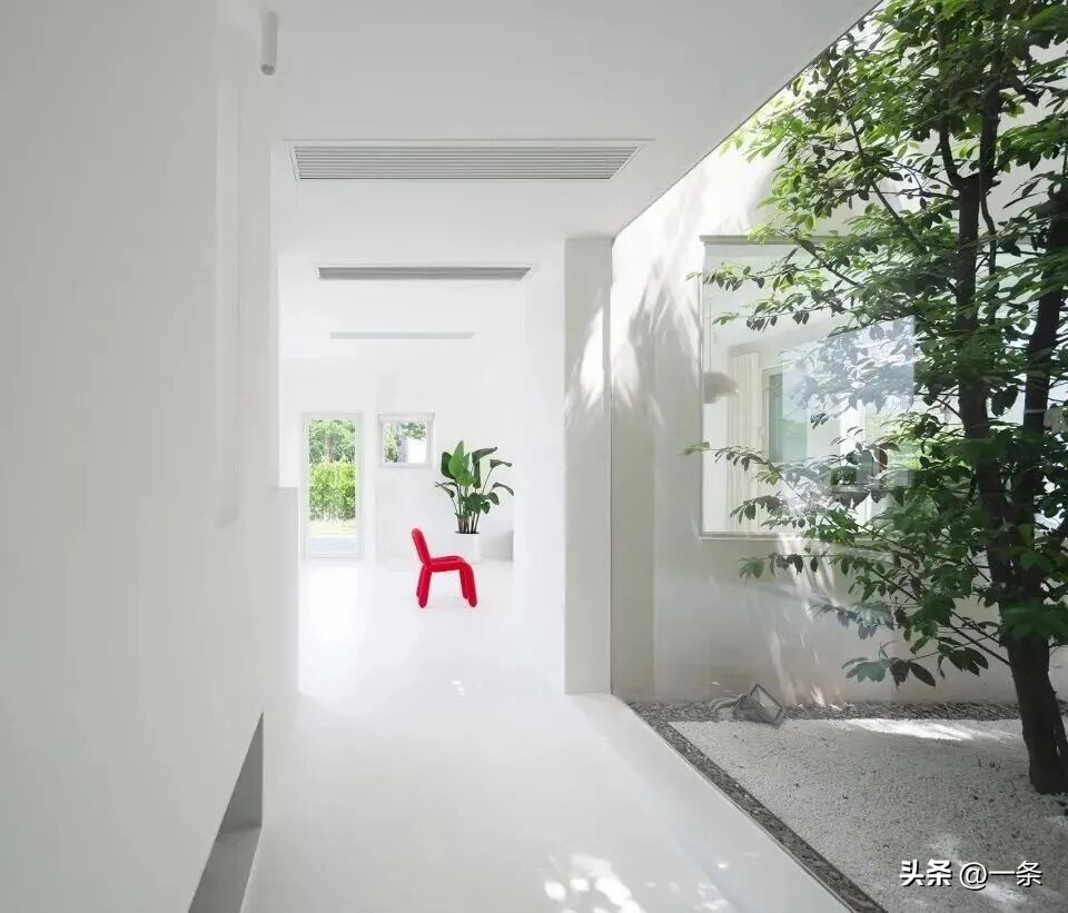 Chi 7 tỷ đồng x&acirc;y biệt thự trắng giữa v&ugrave;ng qu&ecirc;: Cặp vợ chồng khiến cả l&agrave;ng ngỡ ng&agrave;ng, nhưng điều đ&aacute;ng gi&aacute; nhất lại kh&ocirc;ng nằm ở ng&ocirc;i nh&agrave;- Ảnh 19.