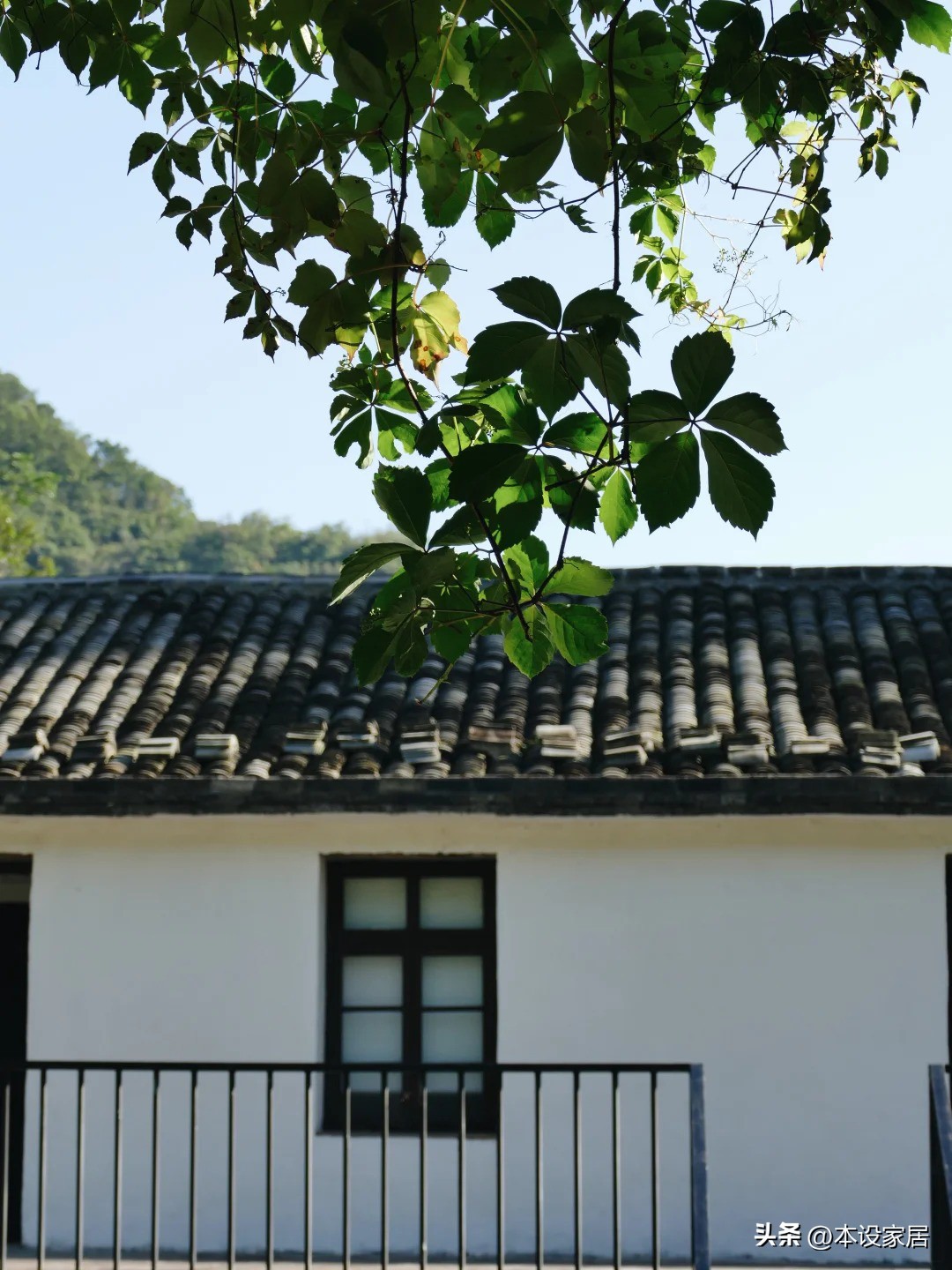 Bỏ phố về qu&ecirc; sau 10 năm l&agrave;m việc kiệt sức, cặp vợ chồng cải tạo ng&ocirc;i nh&agrave; trăm tuổi: Cuộc sống b&igrave;nh y&ecirc;n khiến ai xem cũng ao ước- Ảnh 1.
