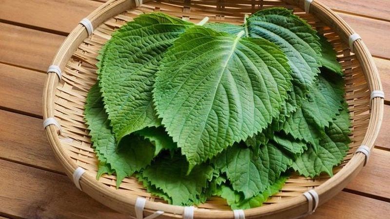 5 loại rau tốt nhất m&ugrave;a h&egrave;: Loại 1 d&acirc;n d&atilde;, c&oacute; đầy chợ Việt, 100 b&aacute;c sĩ Nhật đồng loạt đưa lời khen- Ảnh 3.