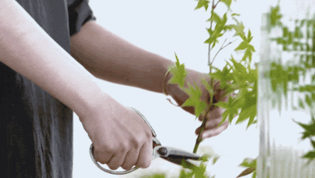 Chi 7 tỷ đồng x&acirc;y biệt thự trắng giữa v&ugrave;ng qu&ecirc;: Cặp vợ chồng khiến cả l&agrave;ng ngỡ ng&agrave;ng, nhưng điều đ&aacute;ng gi&aacute; nhất lại kh&ocirc;ng nằm ở ng&ocirc;i nh&agrave;- Ảnh 24.