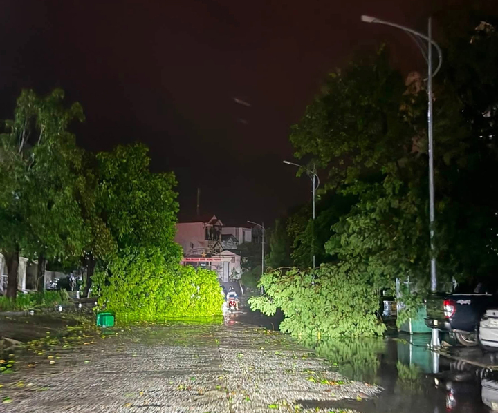 B&atilde;o số 1 ho&agrave;nh h&agrave;nh M&oacute;ng C&aacute;i suốt đ&ecirc;m: C&acirc;y đổ, m&aacute;i t&ocirc;n bay, nhiều nơi mất điện- Ảnh 1.